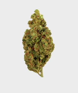 Weed in Lokeren